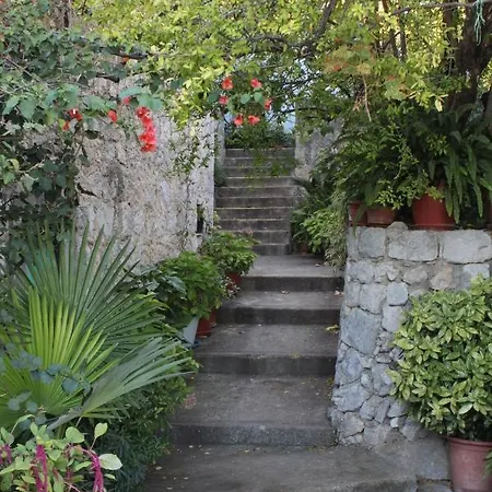 With A Parking Space Trsteno, Dubrovnik - 8594 * Trsjteno